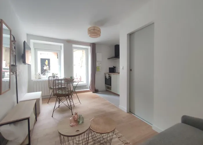 Studio Avec Patio En Centre-Ville